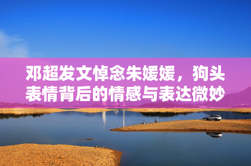 邓超发文悼念朱媛媛，狗头表情背后的情感与表达微妙平衡