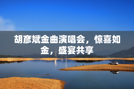 胡彦斌金曲演唱会，惊喜如金，盛宴共享