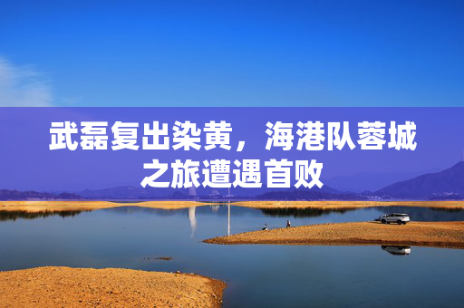 武磊复出染黄，海港队蓉城之旅遭遇首败