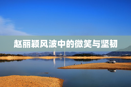 赵丽颖风波中的微笑与坚韧