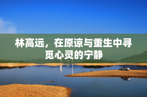 林高远，在原谅与重生中寻觅心灵的宁静