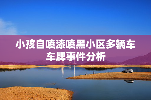 小孩自喷漆喷黑小区多辆车车牌事件分析