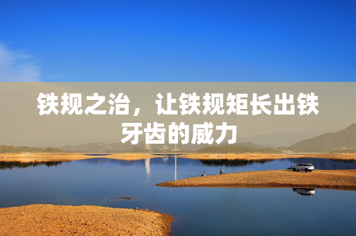 铁规之治，让铁规矩长出铁牙齿的威力