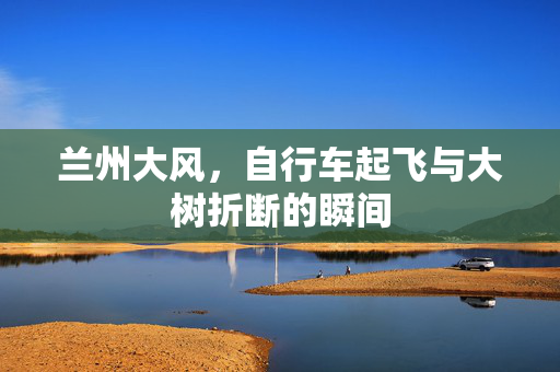 兰州大风，自行车起飞与大树折断的瞬间