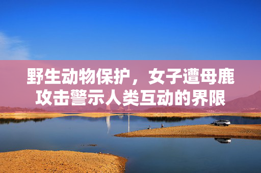 野生动物保护，女子遭母鹿攻击警示人类互动的界限