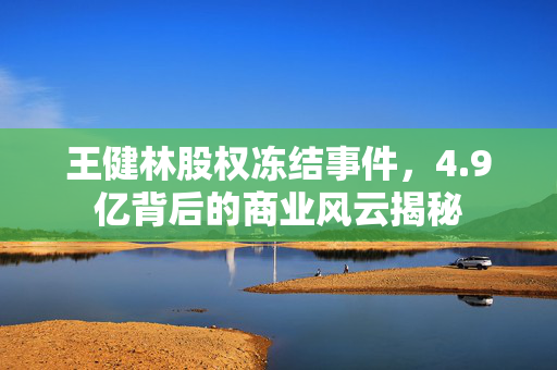 王健林股权冻结事件，4.9亿背后的商业风云揭秘