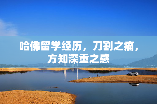 哈佛留学经历，刀割之痛，方知深重之感