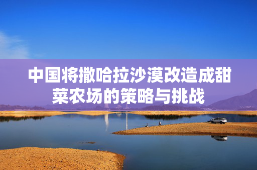 中国将撒哈拉沙漠改造成甜菜农场的策略与挑战