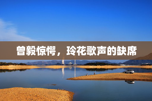 曾毅惊愕，玲花歌声的缺席