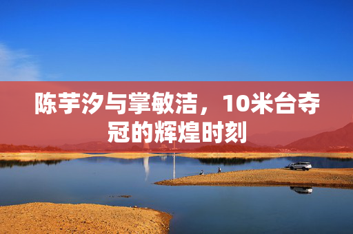 陈芋汐与掌敏洁，10米台夺冠的辉煌时刻