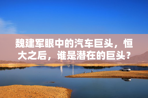 魏建军眼中的汽车巨头，恒大之后，谁是潜在的巨头？