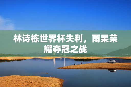 林诗栋世界杯失利，雨果荣耀夺冠之战