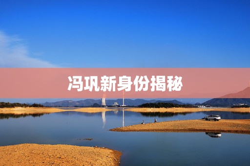 冯巩新身份揭秘