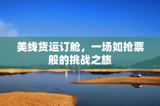 美线货运订舱，一场如抢票般的挑战之旅