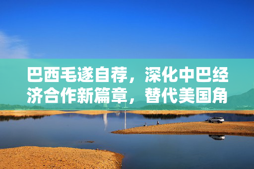 巴西毛遂自荐，深化中巴经济合作新篇章，替代美国角色，共创共赢未来