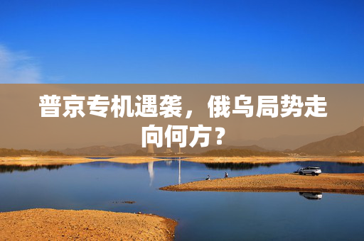 普京专机遇袭，俄乌局势走向何方？