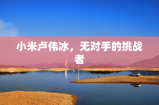 小米卢伟冰，无对手的挑战者