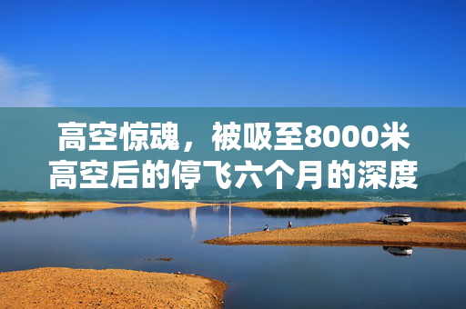 高空惊魂，被吸至8000米高空后的停飞六个月的深度剖析