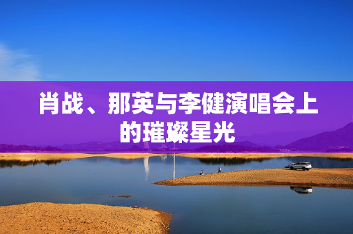 肖战、那英与李健演唱会上的璀璨星光