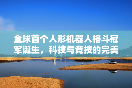 全球首个人形机器人格斗冠军诞生，科技与竞技的完美融合