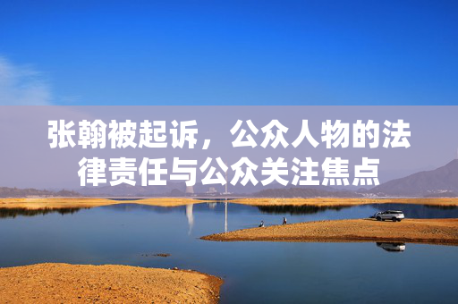 张翰被起诉，公众人物的法律责任与公众关注焦点