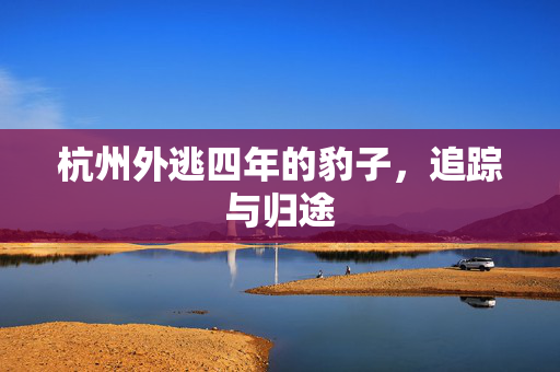杭州外逃四年的豹子，追踪与归途