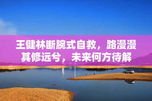 王健林断腕式自救，路漫漫其修远兮，未来何方待解