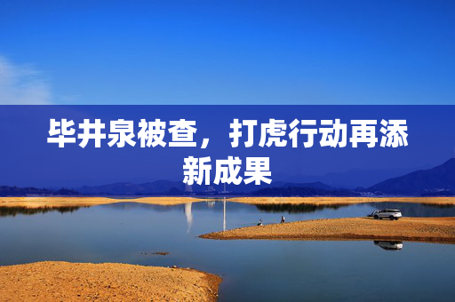 毕井泉被查，打虎行动再添新成果
