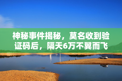 神秘事件揭秘，莫名收到验证码后，隔天6万不翼而飞