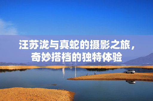 汪苏泷与真蛇的摄影之旅，奇妙搭档的独特体验