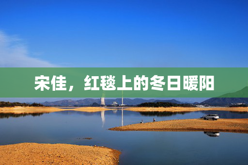 宋佳，红毯上的冬日暖阳
