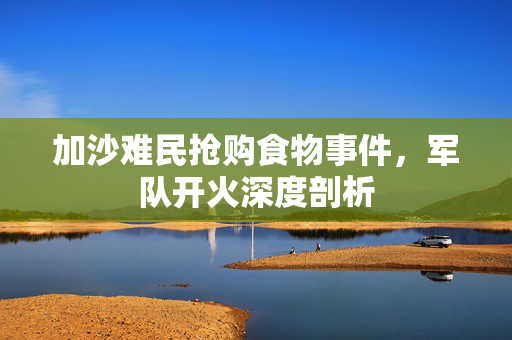 加沙难民抢购食物事件，军队开火深度剖析