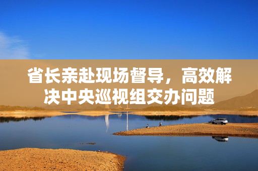 省长亲赴现场督导，高效解决中央巡视组交办问题
