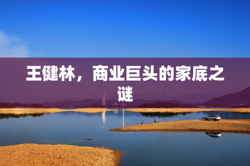 王健林，商业巨头的家底之谜