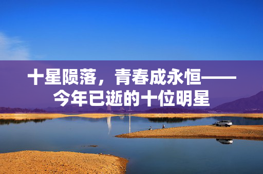 十星陨落，青春成永恒——今年已逝的十位明星