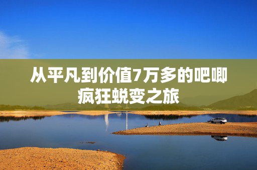 从平凡到价值7万多的吧唧疯狂蜕变之旅
