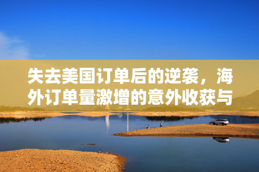 失去美国订单后的逆袭，海外订单量激增的意外收获与机遇
