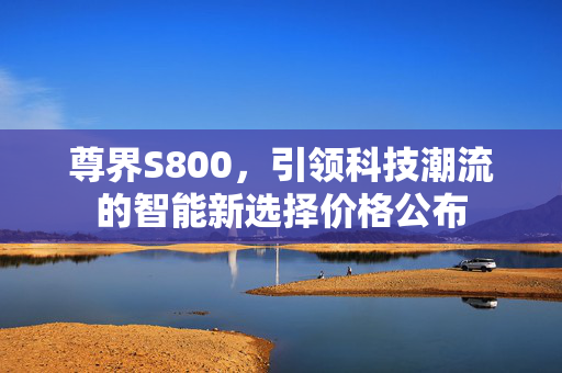 尊界S800，引领科技潮流的智能新选择价格公布