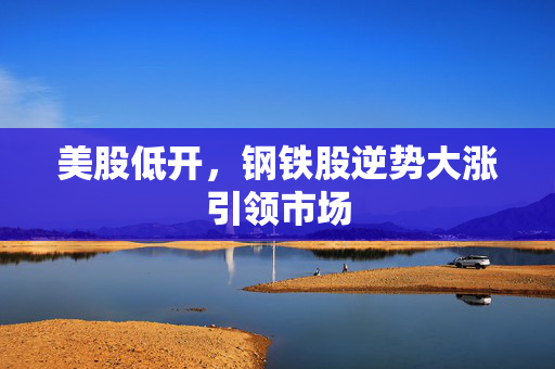 美股低开，钢铁股逆势大涨引领市场