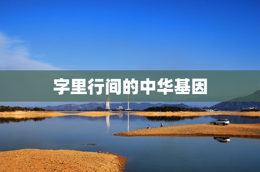 字里行间的中华基因