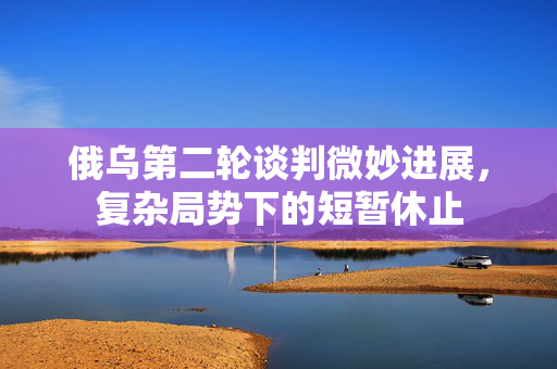 俄乌第二轮谈判微妙进展，复杂局势下的短暂休止