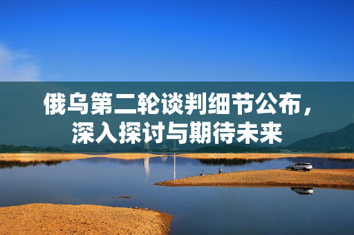 俄乌第二轮谈判细节公布，深入探讨与期待未来