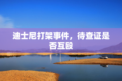 迪士尼打架事件，待查证是否互殴