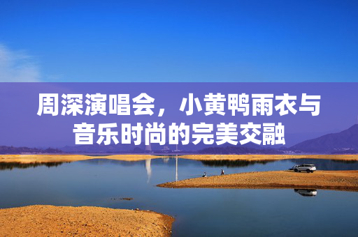 周深演唱会，小黄鸭雨衣与音乐时尚的完美交融