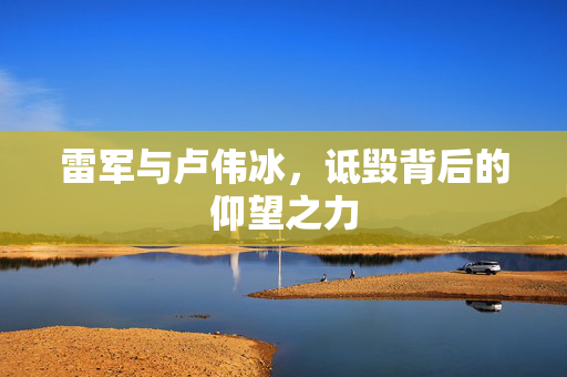 雷军与卢伟冰，诋毁背后的仰望之力