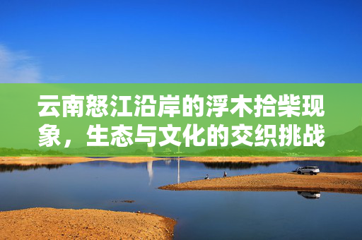 云南怒江沿岸的浮木拾柴现象，生态与文化的交织挑战