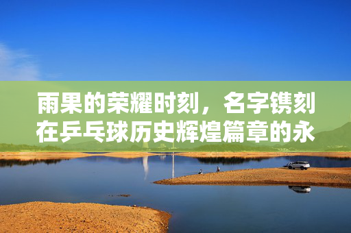 雨果的荣耀时刻，名字镌刻在乒乓球历史辉煌篇章的永恒印记