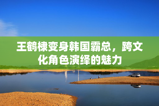 王鹤棣变身韩国霸总，跨文化角色演绎的魅力