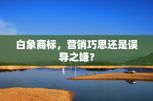 白象商标，营销巧思还是误导之嫌？
