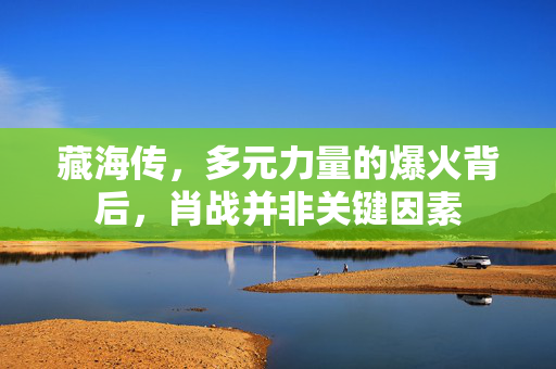 藏海传，多元力量的爆火背后，肖战并非关键因素